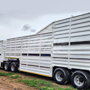 Cattlemaster (TW11291)